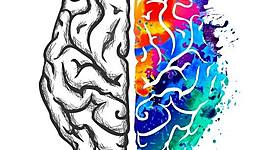 Timeline: Pais da Psicologia