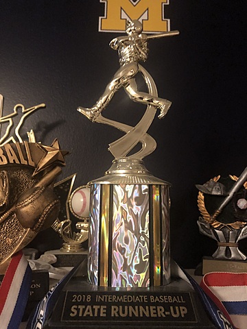 Going to states for baseball