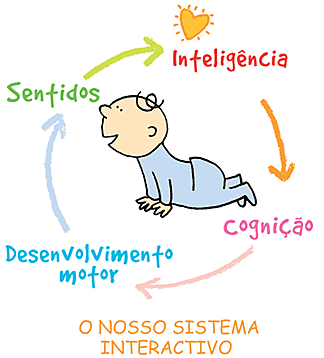 A teoria dos estágios de desenvolvimento- Piaget