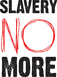 13th Amendment-African American Movement