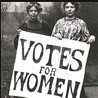 19th Amendment (Pink)