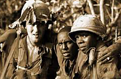 Executive Order 9981(Orange)