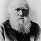 Charles darwin pic 1