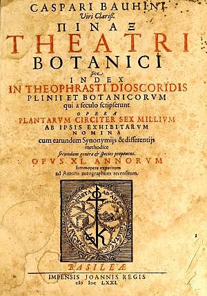 ”Pinax Theatri botanici” 1° Edición