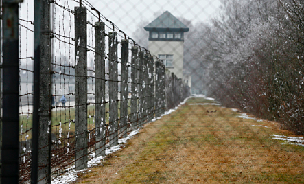 Dachau is Established