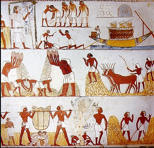 Inicio de los números decímales