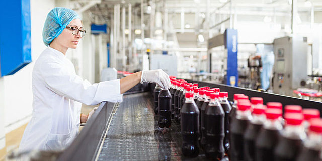 Industria Manufacturera