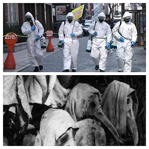 Calma antes de la pandemia