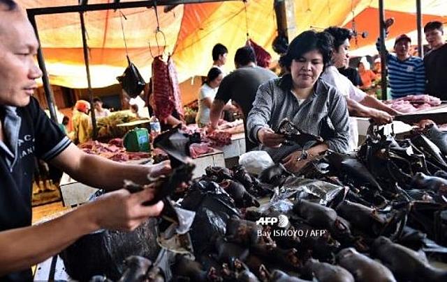 El aparente origen de un nuevo virus