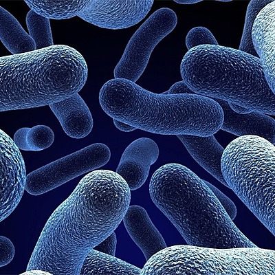 Timeline: INTRODUCCIÓN A LA MICROBIOLOGÍA