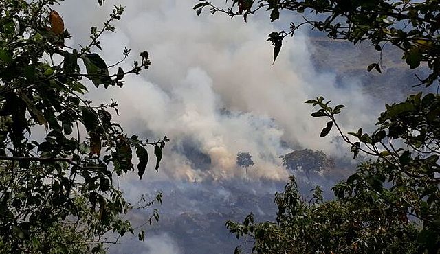 Incendio forestal en área del Volcán Barú