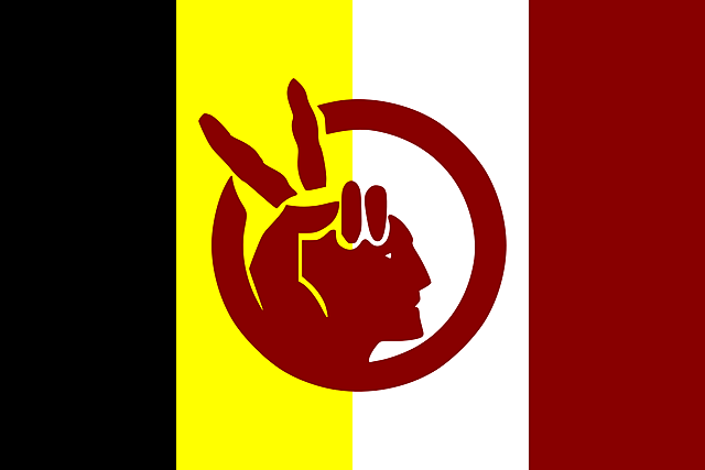 American Indian Movement (AIM) (Native American)