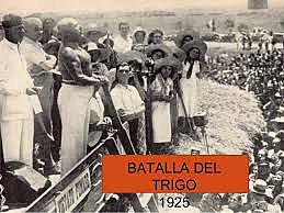 Implantación batalla del trigo