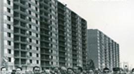 Timeline: DESARROLLISMO