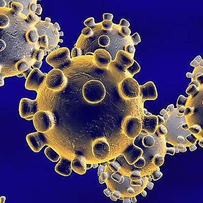 Timeline: Coronavirus (Covid-19)