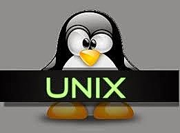 NACE EL S.O. UNIX.