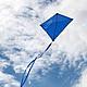 Blue kite