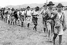 Creación de las guerrillas en los Llanos Orientales