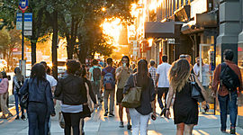 Timeline: Antecedentes de la sociedad