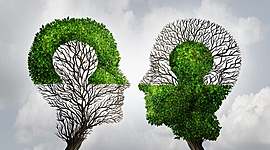 Timeline: La fiilosofia