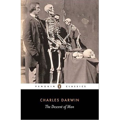 Theory of Sexual Selection