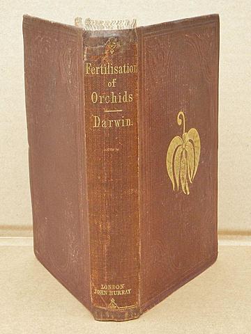 Ground Breaking Work on the Evolution of Plants