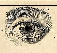 vinculo de cerebro huano