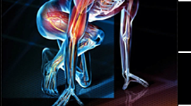 Timeline: Historia de la fisiología del ejercicio