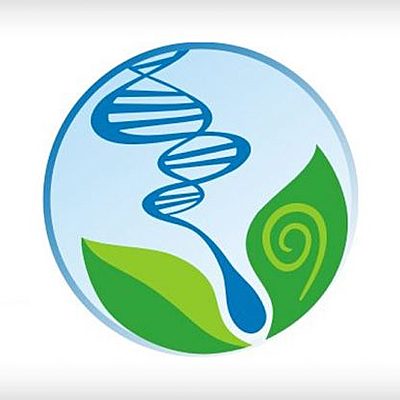 Timeline: Ensino de Ciências (Samuel Kluck)