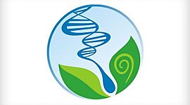 Timeline: Ensino de Ciências (Samuel Kluck)