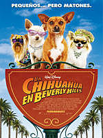 Beverly hills chihuahua