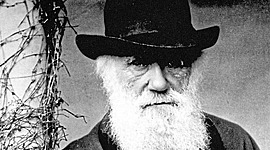 Timeline: Charles Darwin- Born: 02-12-1809 Died: 04-19-1882