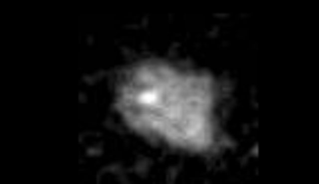 Nereid discovered Kuiper