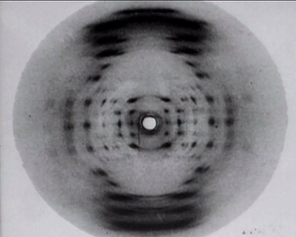 Primera foto del ADN