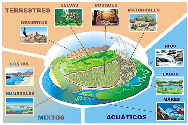 Clases de ecosistemas