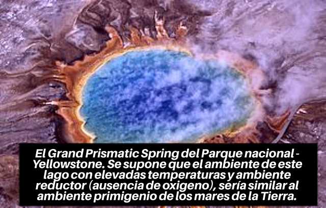 Teoría del Caldo Primordial