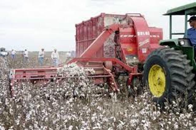 Maquina extractora de Semillas