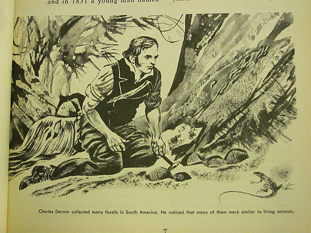 The Voyage of the HMS Beagle