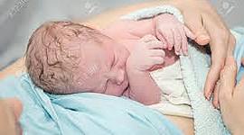 Timeline: Linea de la vida