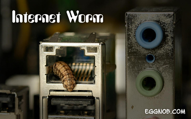 Internet Worm