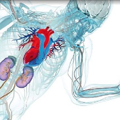 Timeline: Historia de la fisiología del ejercicio
