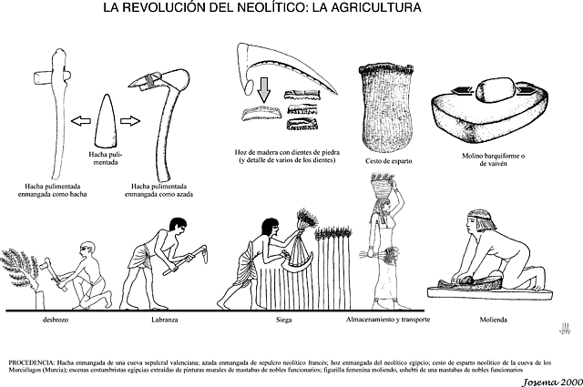 HERRAMIENTAS AGRÍCOLAS