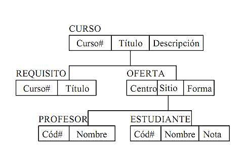 Bases de datos jerárquicas dejan de ser comunes