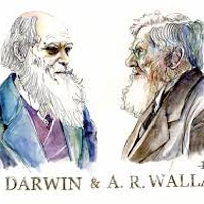 Timeline: Antecedentes y Teoría de la Evolución de Darwin y Wallace