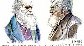 Timeline: Antecedentes y Teoría de la Evolución de Darwin y Wallace