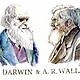 Darwin y wallace