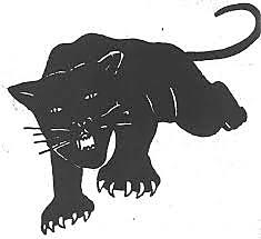 Black Panthers (African Americans)