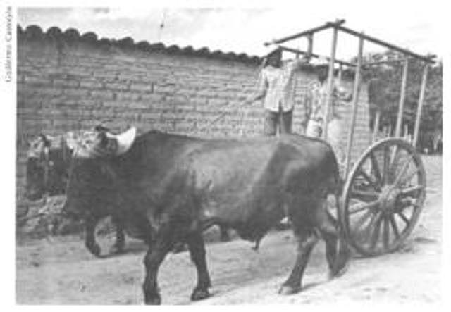 1983 Programa Nacional de Desarrollo Rural Integral (PRONADRI)