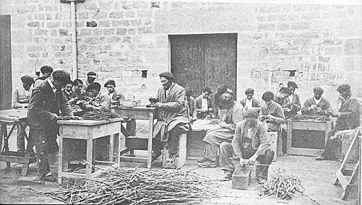 Injertos en el siglo XIX