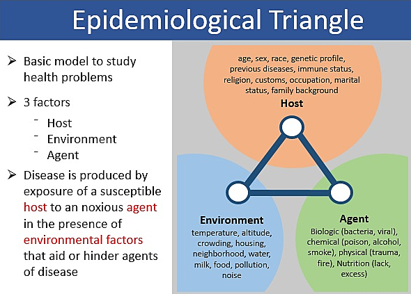 Epidemiological Triangle